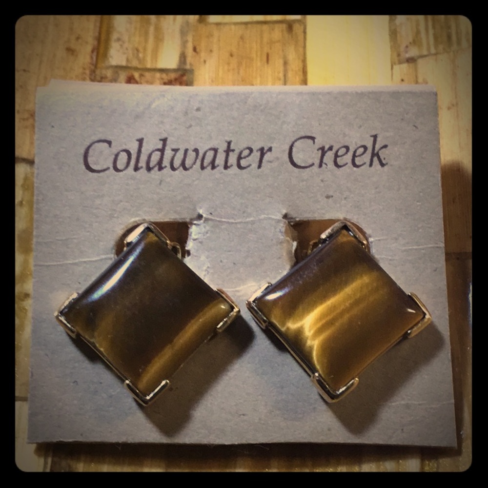 Coldwater Creek Tiger’s Eye clip on earrings